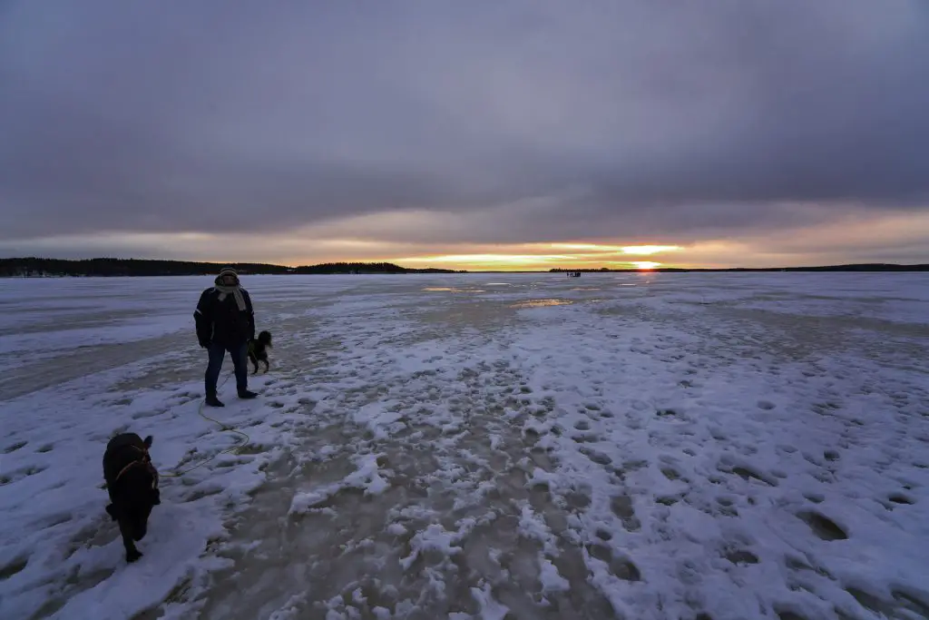 See bei Rovaniemi auf dem Weg in die Polarnacht