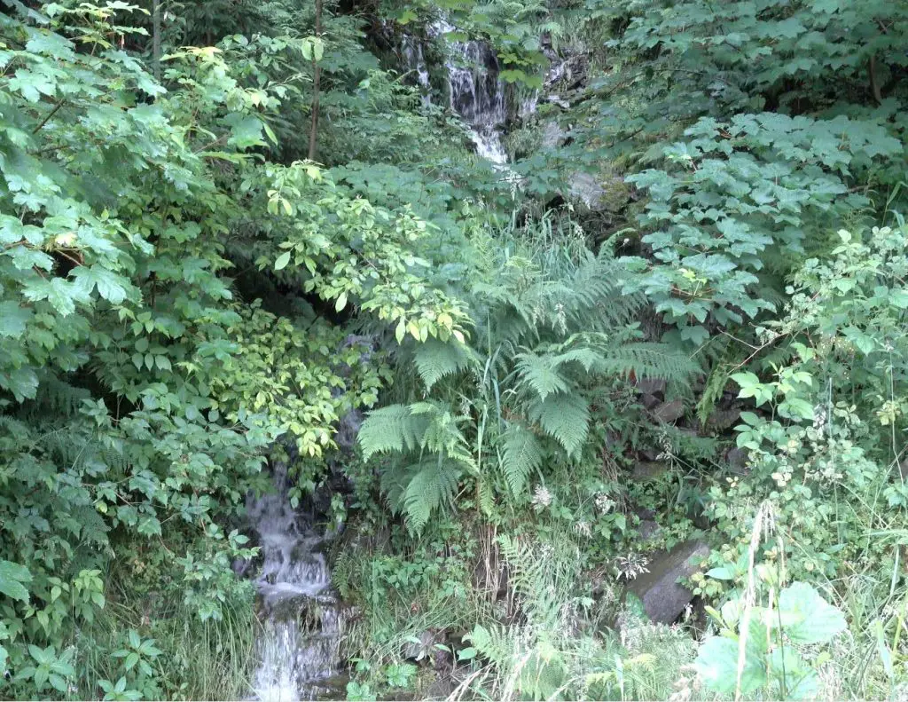 Wasserfälle im Oberharz